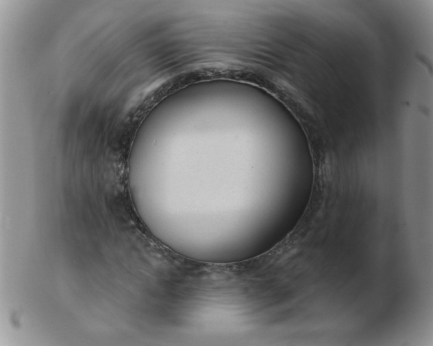 X0000103280822200809121943