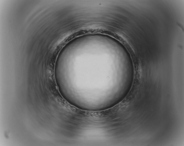 X0000103280823200809121943