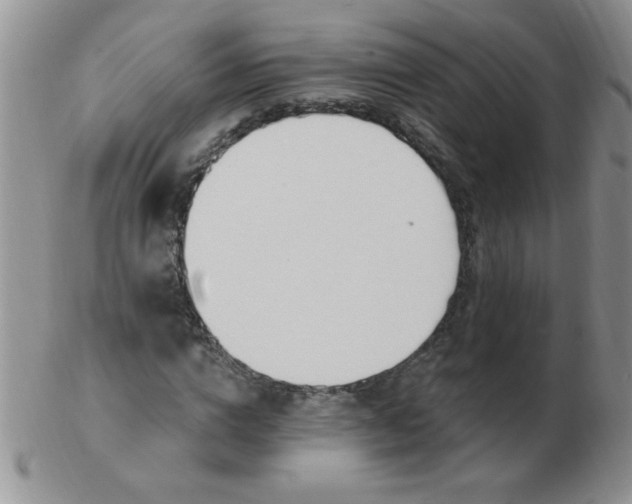 X0000103280824200809121943