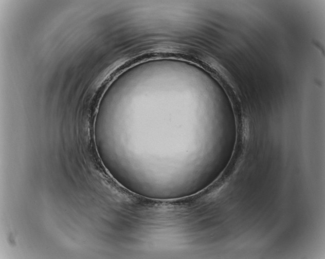 X0000103280829200809121943