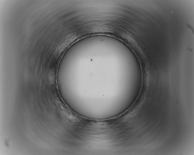 X0000103280833200809121943