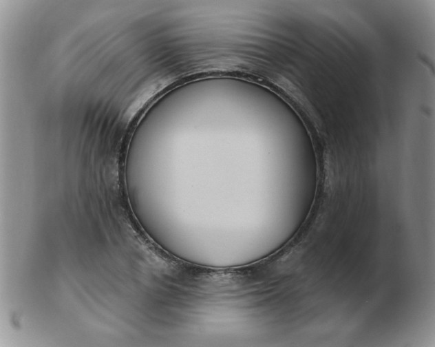 X0000103280834200809121943