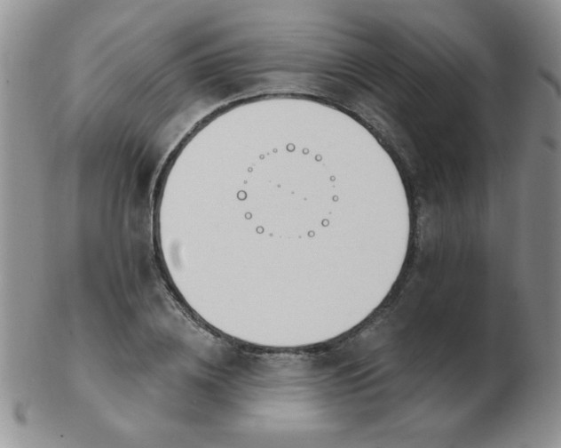 X0000103280836200809121943