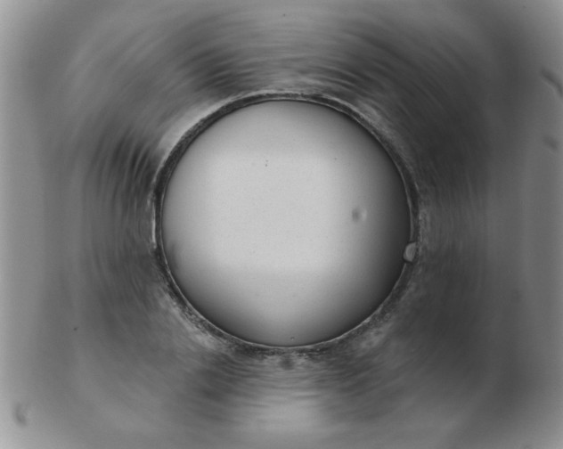 X0000103280838200809121943