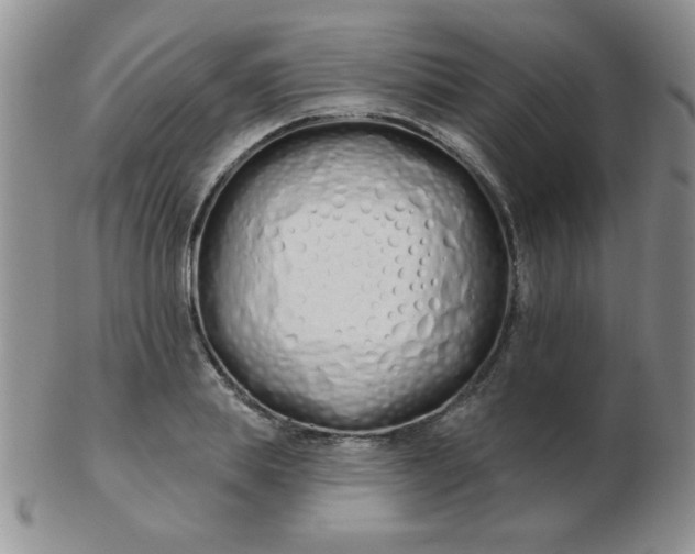 X0000103280839200809121943