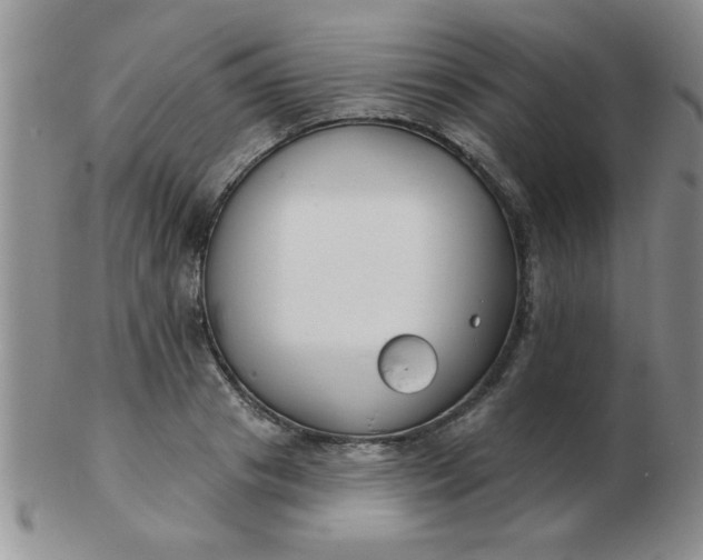 X0000103280841200809121943