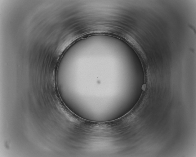 X0000103280842200809121943