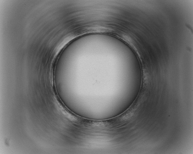 X0000103280843200809121943