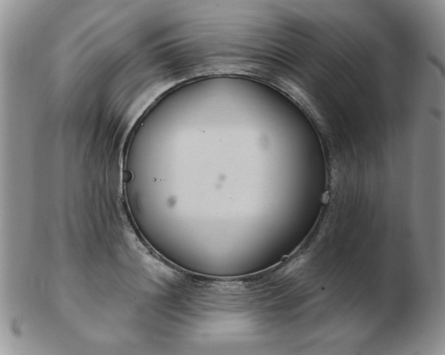 X0000103280844200809121943