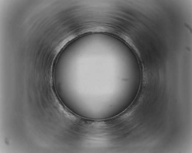 X0000103280845200809121943