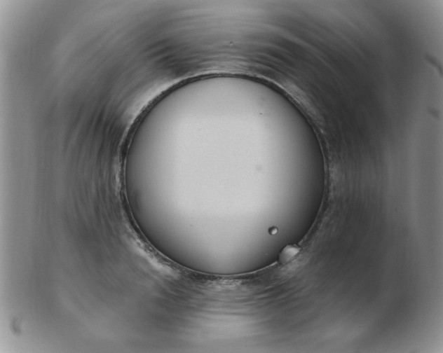 X0000103280846200809121943