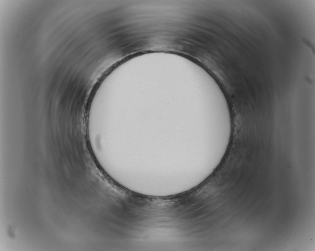 X0000103280848200809121943