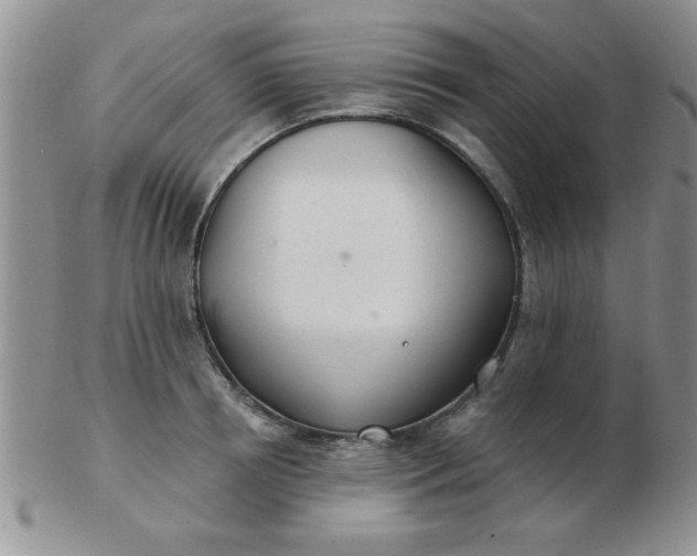 X0000103280850200809121943