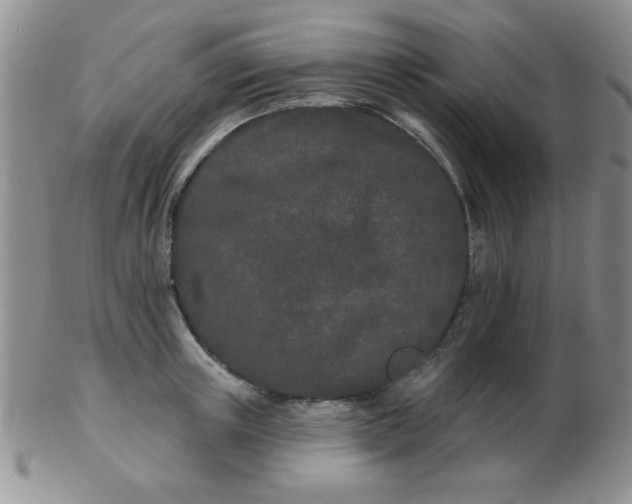 X0000103280851200809121943