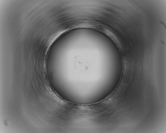 X0000103280852200809121943