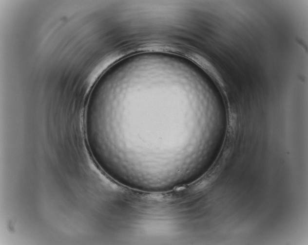 X0000103280855200809121943