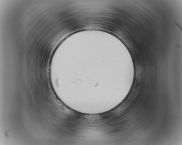 X0000103280856200809121943