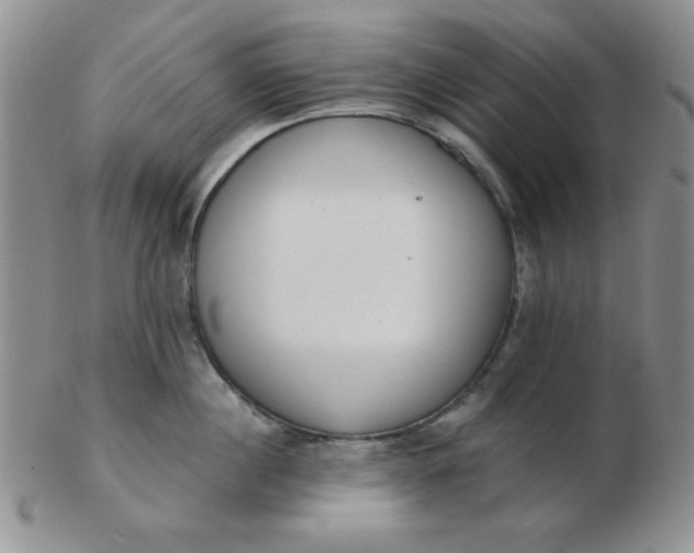 X0000103280860200809121943