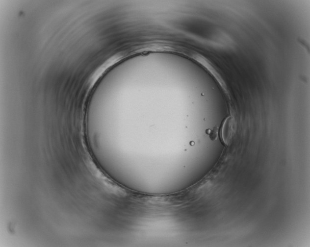 X0000103280861200809121944