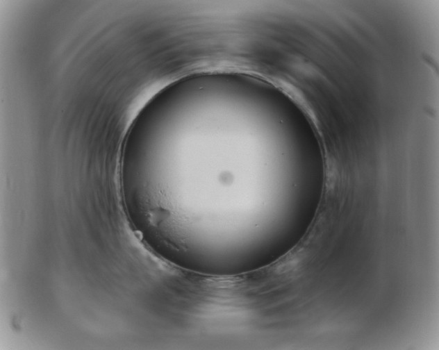 X0000103280863200809121944