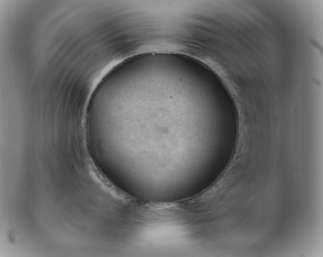 X0000103280864200809121944