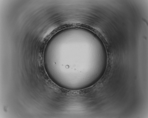 X0000103280871200809121943