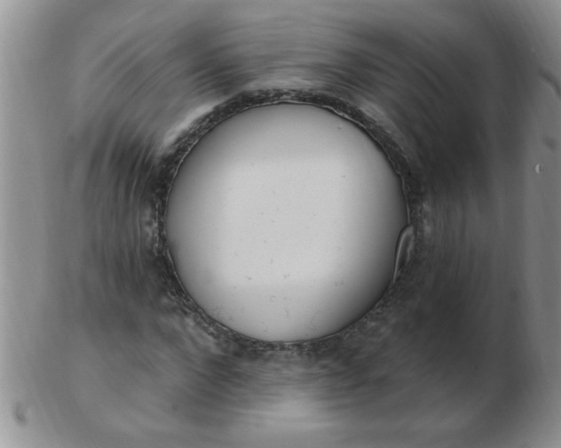 X0000103280872200809121943