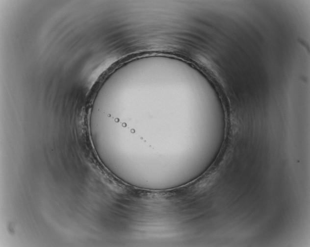 X0000103280875200809121943