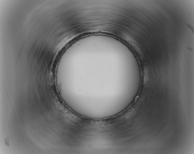 X0000103280876200809121943