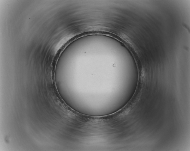 X0000103280877200809121943