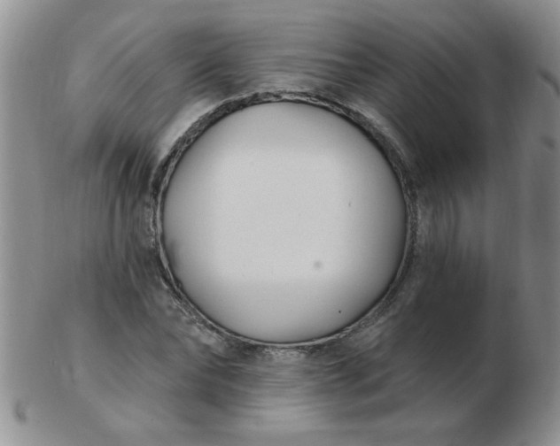 X0000103280878200809121943