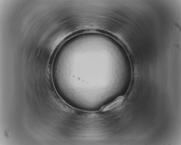 X0000103280879200809121943