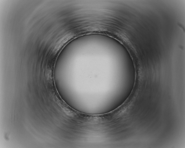 X0000103280881200809121943