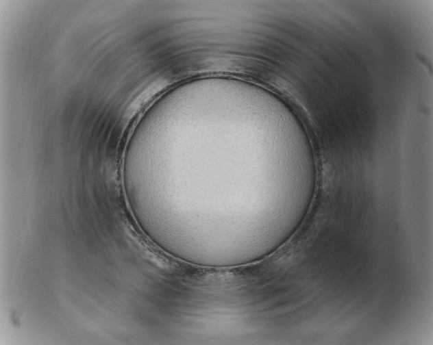 X0000103280882200809121943