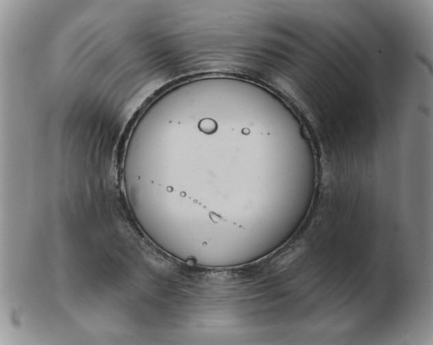 X0000103280883200809121943