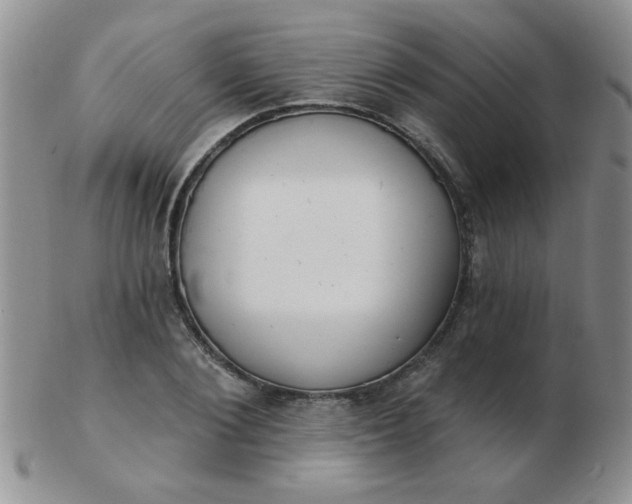 X0000103280884200809121943