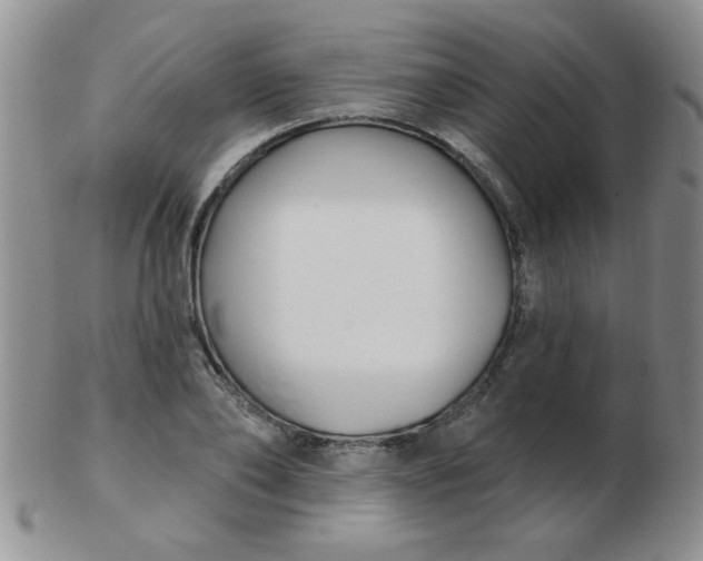 X0000103280886200809121943