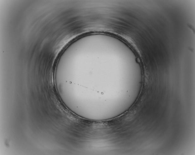 X0000103280887200809121943