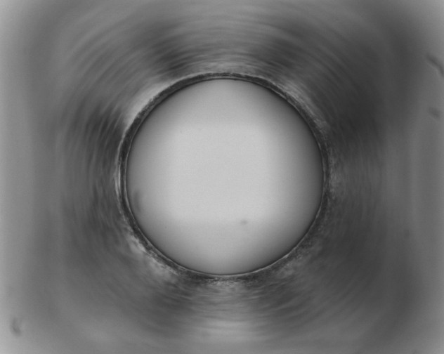 X0000103280888200809121943