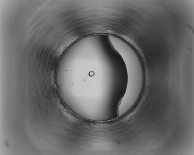 X0000103280889200809121943