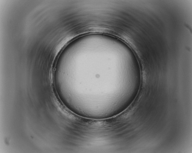 X0000103280891200809121943