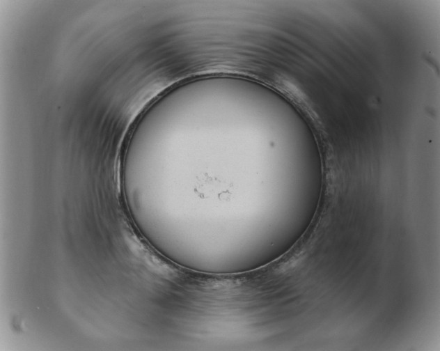 X0000103280892200809121943