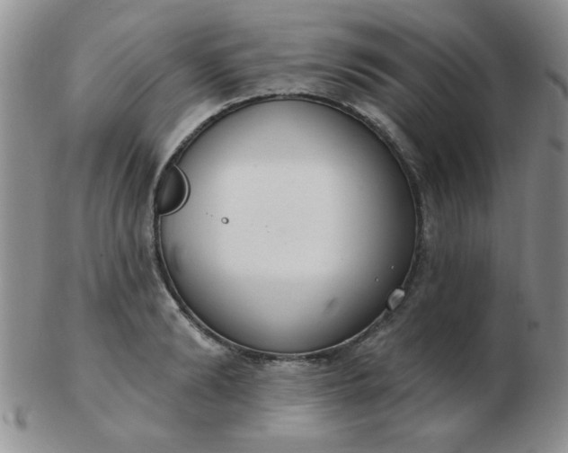 X0000103280894200809121942