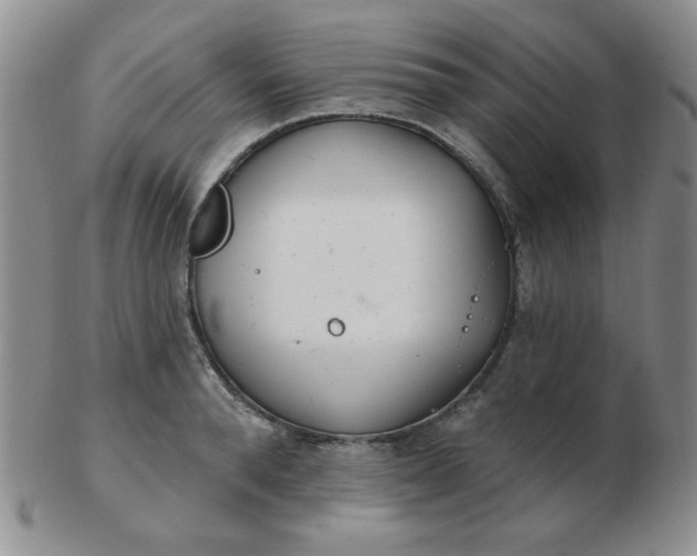 X0000103280896200809121942