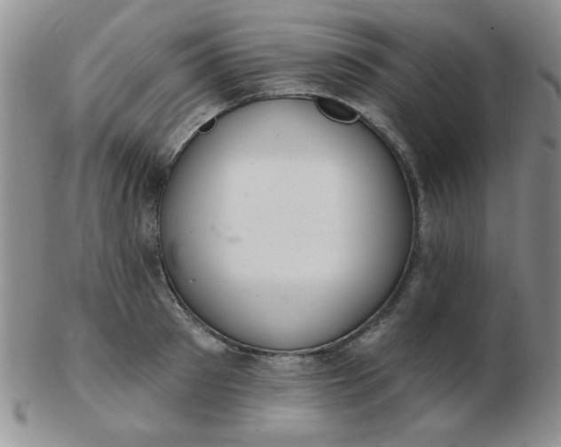 X0000103280897200809121942