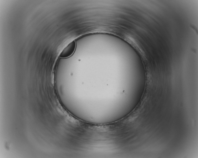 X0000103280900200809121942