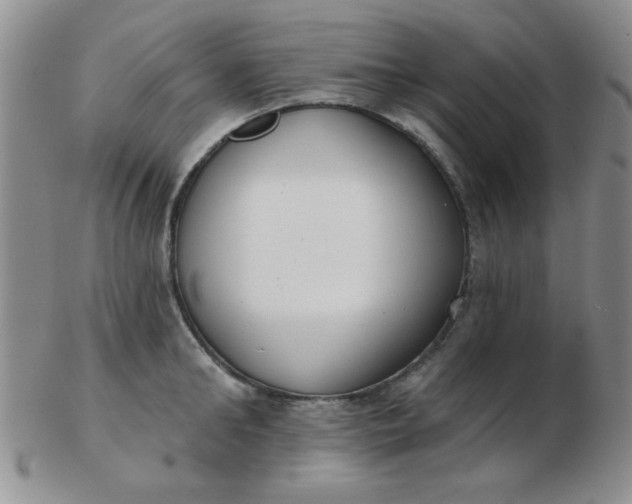 X0000103280902200809121942