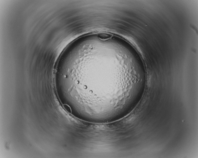 X0000103280903200809121942