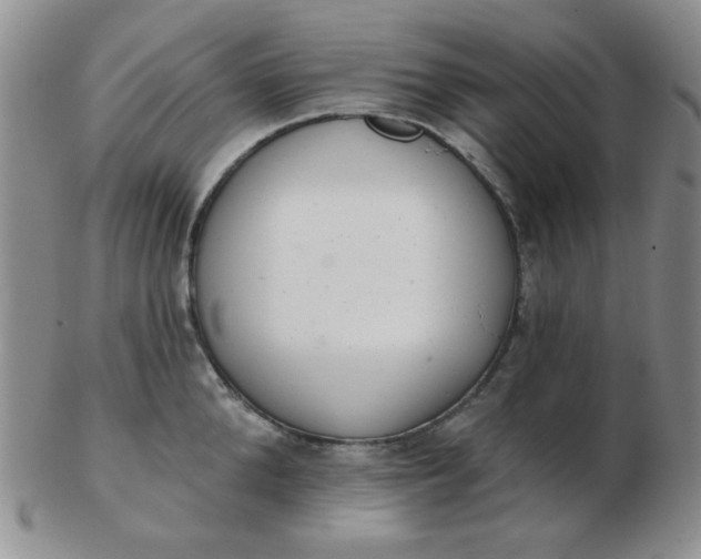 X0000103280904200809121942