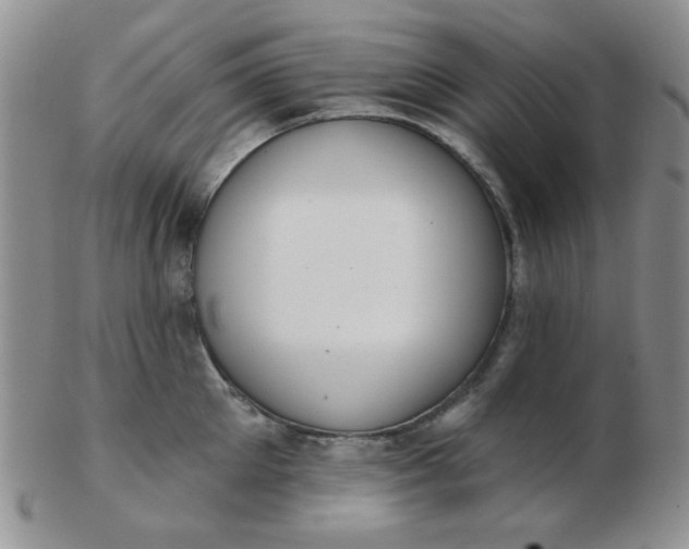 X0000103280905200809121942